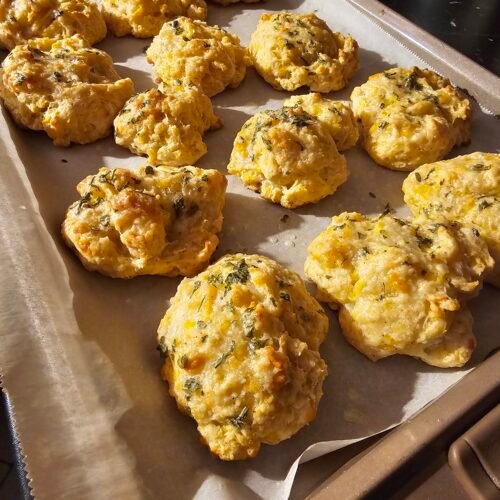 sourdough chedder biscuits